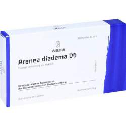 Aranea diadema D6 Weleda 8 Amp.