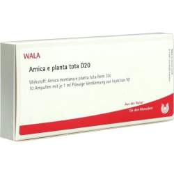 Arnica e planta tota D20 Wala 10 x1ml Amp.