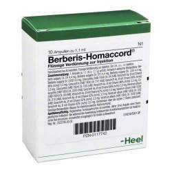 Berberis-Homaccord® 10 Amp. Inj.-Lsg.