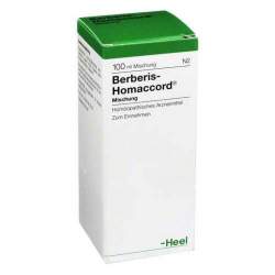 Berberis-Homaccord® 100ml Tropf.