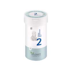 Biochemie Nr.2 Calc. phosph. D6 Pflüger Pulv. 100g