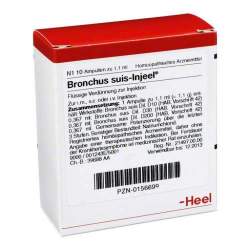 Bronchus suis Injeel 10 Amp.