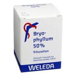 Bryophyllum 50% Weleda Pulv. 50g