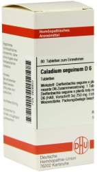 Caladium seguinum D6 DHU 80 Tbl.
