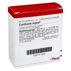 Cantharis Injeel 10 Amp.