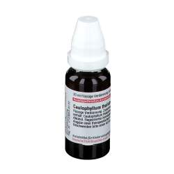 Caulophyllum thalictroides D30 DHU Dil. 20 ml