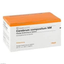 Cerebrum Compositum NM 50 Amp.