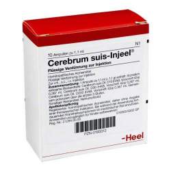 Cerebrum suis-Injeel 10 Amp. Inj.-Lsg.