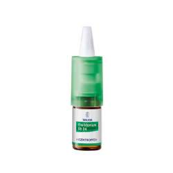 Chelidonium Rh D4 Augentr. 10ml