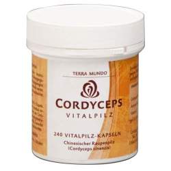 CORDYCEPS VITALPILZ Terra Mundo Kapseln