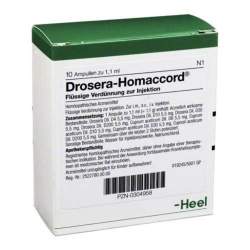 Drosera-Homaccord® 10 Amp. Inj.-Lsg.