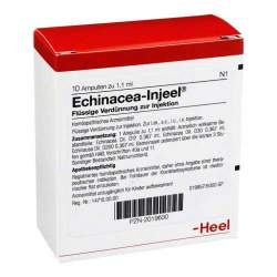 Echinacea Injeel 10 Amp.