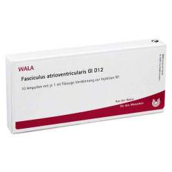 Fasciculus atrioventricularis Gl D12 Wala 10x1ml Amp.