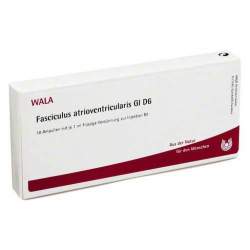 Fasciculus atrioventricularis Gl D6 Wala Amp. 10 x 1ml