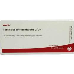 Fasciculus atrioventricularis Gl D8 Wala 10x1ml Amp.