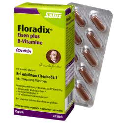 Floradix® Eisen plus B Vitamine 40 Kaps.
