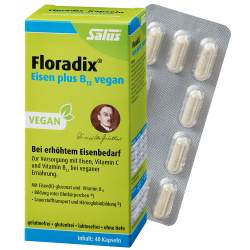 Floradix® Eisen plus B12 vegan 40 Kaps.