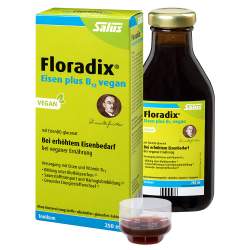 Floradix® Eisen plus B12 vegan Tonikum 250ml