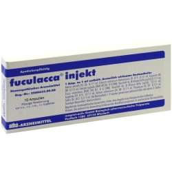 Fuculacca 10 Amp.