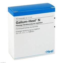 Galium Heel N 10 Amp.