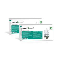 gastriLoges® Injektionslösung 100 Amp. 2 ml