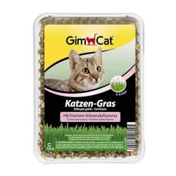 GIMPET Katzen Gras