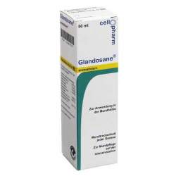 Glandosane® Spray aromatisiert 50ml