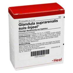 Glandula suprarenalis suis-Injeel 10 Amp.
