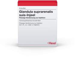 Glandula suprarenalis suis-Injeel 100 Amp.
