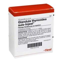 Glandula thyreoidea suis-Injeel 10 Amp.