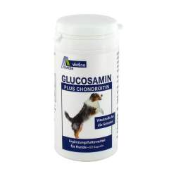 GLUCOSAMIN+CHONDROITIN Kapseln für Hunde