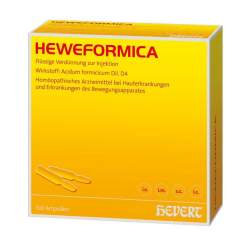 Heweformica 100 Amp.