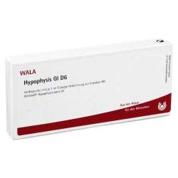 Hypophysis Gl D6 Wala 10 x1ml Amp.