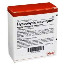 Hypophysis suis-Injeel 10 Amp. Inj.-Lsg.