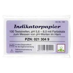 Indikatorpapier 1 Heftchen mit 100 Teststreifen