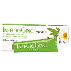 INFECTOGINGI Mundgel 6g Gel