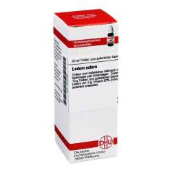 Ledum extern DHU Tinkt. 20 ml