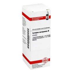 Lycopus europaeus Urtinktur DHU 20 ml