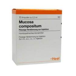 Mucosa compositum 10 Amp. Inj.-Lsg.