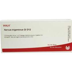 Nervus Trigeminus Gl D12 Wala Amp. 10x1ml