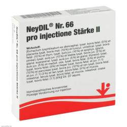 NeyDil® Nr. 66 pro injectione St.II Amp. 5x2 ml