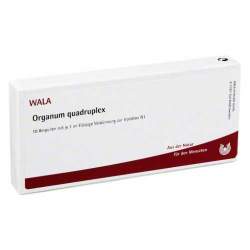 Organum Quadruplex Wala Amp. 10x1ml