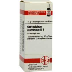 Orthosiphon stamineus D6 DHU 10g Glob.