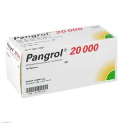 Pangrol® 20 000 Ph.-Eur.-Einheiten 100 msr. Tbl.