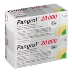 Pangrol® 20 000 Ph.-Eur.-Einheiten 200 msr. Tbl.