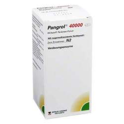 Pangrol® 40000, 100 Hartkapseln magensaftresistent