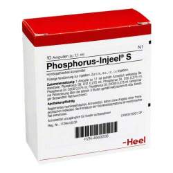 Phosphorus Injeel S 10 Amp.