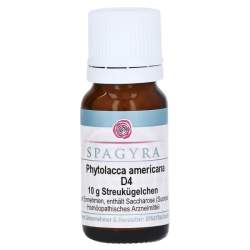 Phytolacca americana D4 Spagyra Globuli 10g