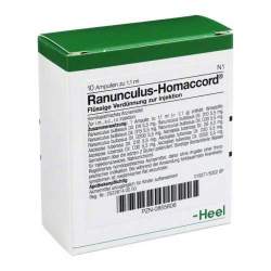 Ranunculus-Homaccord® 10 Amp. Inj.-Lsg.