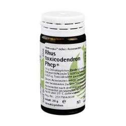 Rhus toxicodendron Phcp Glob. 20g